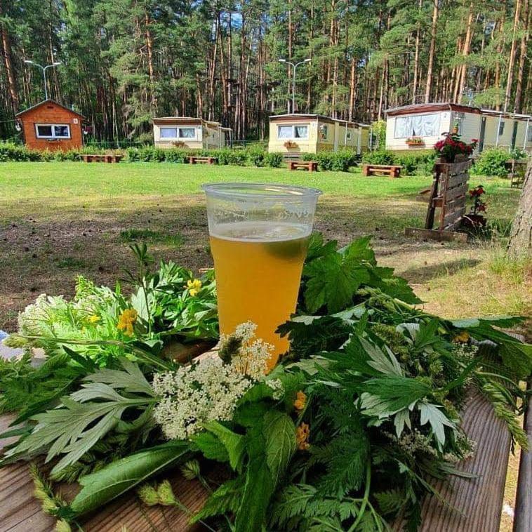 Chill&Grill Camping Daugavpils Exterior photo